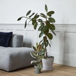 Hay - Bloempot Met Schotel -Meubilair Verkoopwinkel 191107 HAY CONNOX 01 036