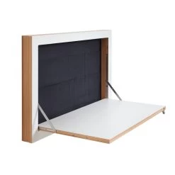 Ambivalenz - Fläpps Staatssecretaris