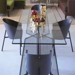 Driade - Costes Fauteuil -Meubilair Verkoopwinkel Driade Costes Stuhl Eiche grau Situation 2