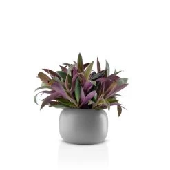 Eva Solo - Stone Bloempot -Meubilair Verkoopwinkel Eva Solo Stone Blumentopf 16 cm mit Pflanze 1