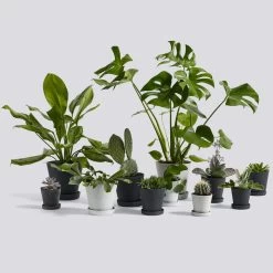 Hay - Bloempot Met Schotel -Meubilair Verkoopwinkel Flowerpot Family 1