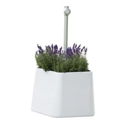 Jan Kurtz - Fill Up Paraplubak