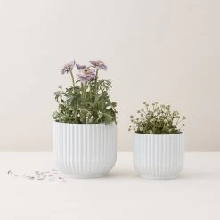 Lyngby Porcelæn - Bloempot 8 Lyngby Porcelæn - Bloempot -Meubilair Verkoopwinkel Lyngby Porzellan Blumentopf weiss mitBlumen frei