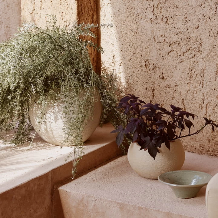 Audo - Plantas Plantenpot 5 Audo - Plantas Plantenpot - Afbeelding 5