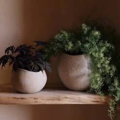 Audo - Plantas Plantenpot -Meubilair Verkoopwinkel Menu Plantas Pflanzentoepfe Situation 2