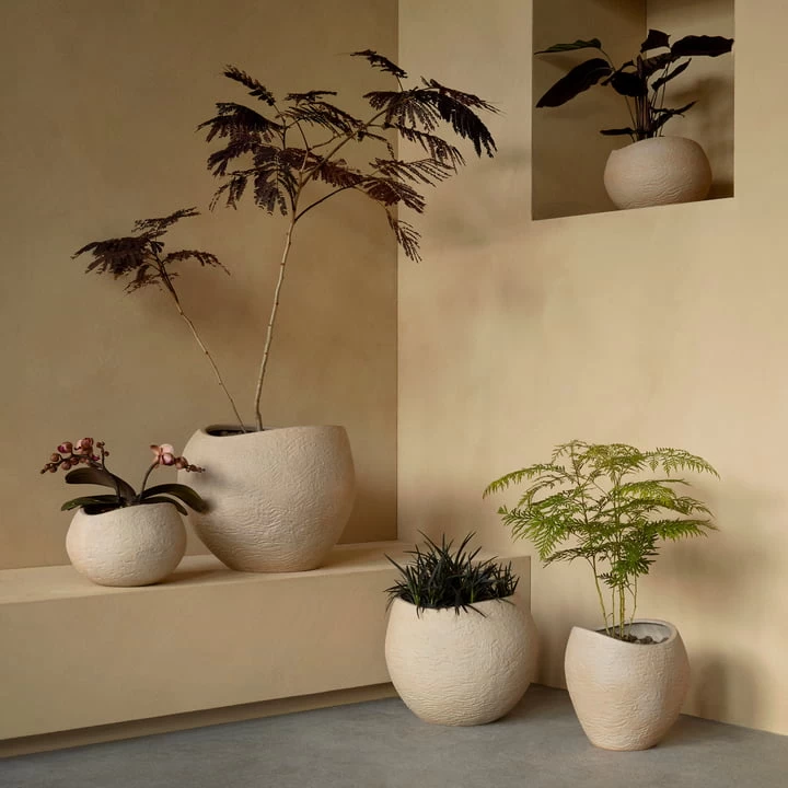 Audo - Plantas Plantenpot 7 Audo - Plantas Plantenpot - Afbeelding 7