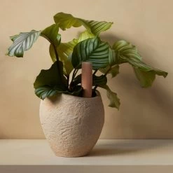 Audo - Plantas Plantenpot 28 Audo - Plantas Plantenpot -Meubilair Verkoopwinkel Menu Plantas Pflanzentoepfe mit Hydrous Bewaesserungsstab Situation 2 1