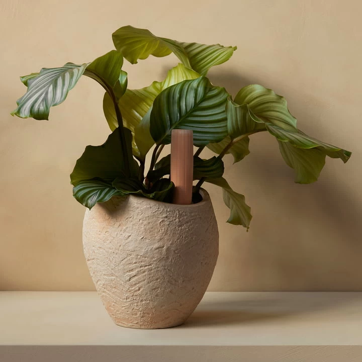 Audo - Plantas Plantenpot 13 Audo - Plantas Plantenpot - Afbeelding 13