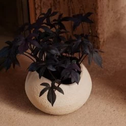 Audo - Plantas Plantenpot 18 Audo - Plantas Plantenpot -Meubilair Verkoopwinkel Menu Plantas Pflanzentopf elfenbein 17 cm Situation 2 1