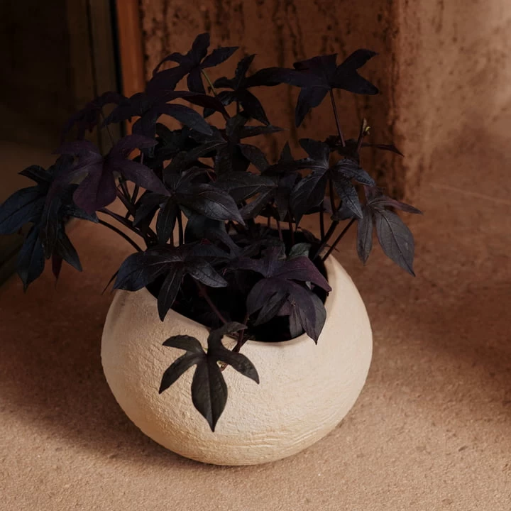 Audo - Plantas Plantenpot 3 Audo - Plantas Plantenpot - Afbeelding 3