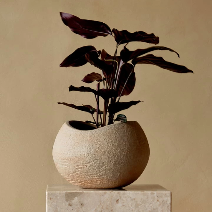 Audo - Plantas Plantenpot 4 Audo - Plantas Plantenpot - Afbeelding 4