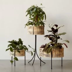 Audo - Umanoff Plant Pot -Meubilair Verkoopwinkel Menu Umanoff Pflanztoepfe Rattan schwarz RAL 9005 Situation 1