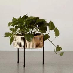 Audo - Umanoff Plant Pot -Meubilair Verkoopwinkel Menu Umanoff Pflanztopf 27 x H 27 cm Rattan schwarz RAL 9005 Situation 1