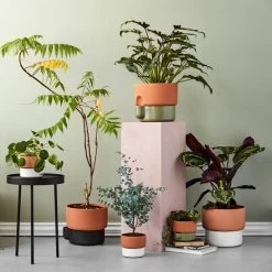 Northern - Oasis Plant Pot 14 Northern - Oasis Plant Pot -Meubilair Verkoopwinkel Northern Peek Hocker Oasis Blumentopf 1Ambiente
