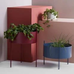 Woud - Pidestall Plantenbak -Meubilair Verkoopwinkel Woud Pidestall Pflanzenbehaelter Ambiente 3