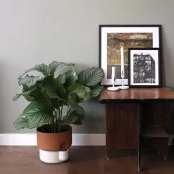 Northern - Oasis Plant Pot 16 Northern - Oasis Plant Pot -Meubilair Verkoopwinkel living plant