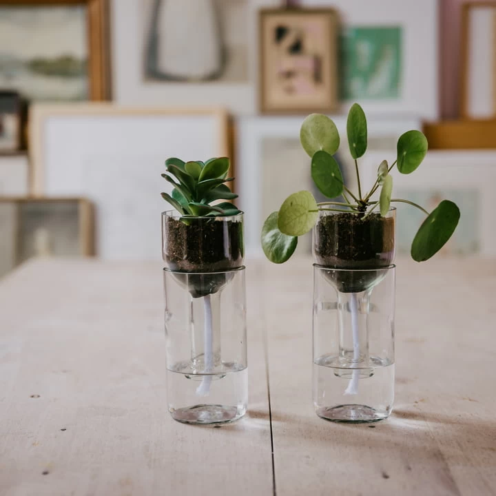 Side By Side - Self Watering Bottle Bloempot 3 Side By Side - Self Watering Bottle Bloempot - Afbeelding 3