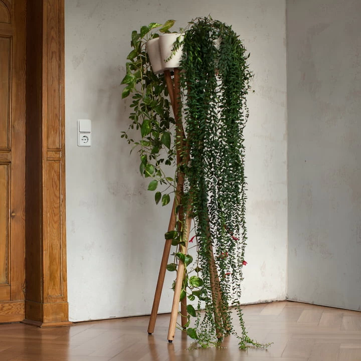 Urbanature - Hoge Tuin, Roestvrijstalen / Urbanature Plantenbak 4 Urbanature - Hoge Tuin, Roestvrijstalen / Urbanature Plantenbak - Afbeelding 4